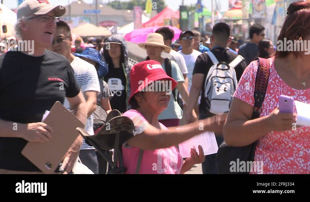 Markham taste of Asia Asian street food festival Stock Video Footage