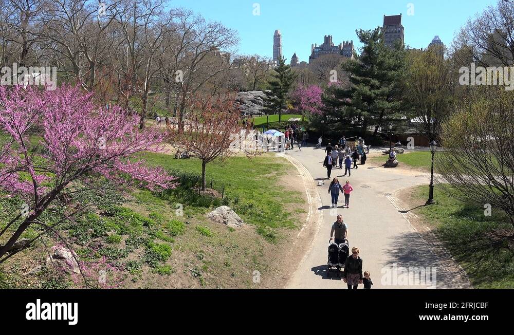 People in the NYC Central Park at the day off of spring. USA Stock