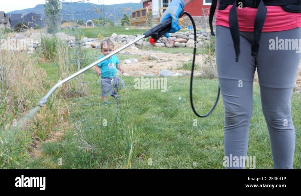 Mother with a toddler sprays weeds with weed killer in yard Stock Video ...