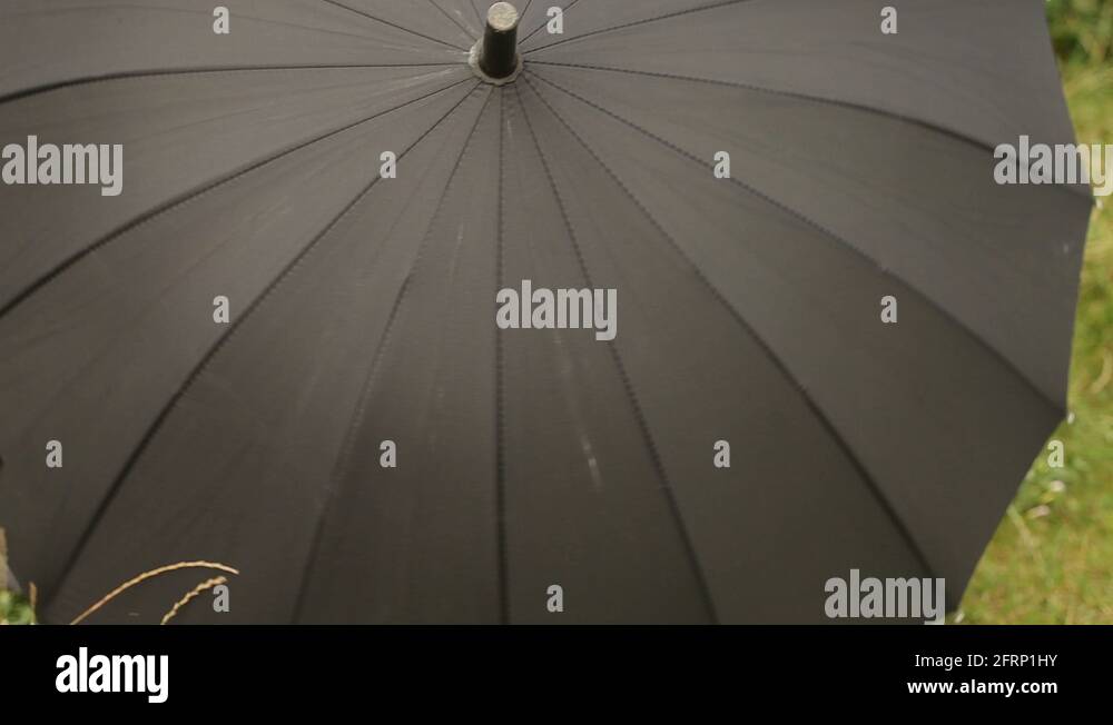 Lady with black umbrella Stock Videos & Footage HD and 4K Video Clips