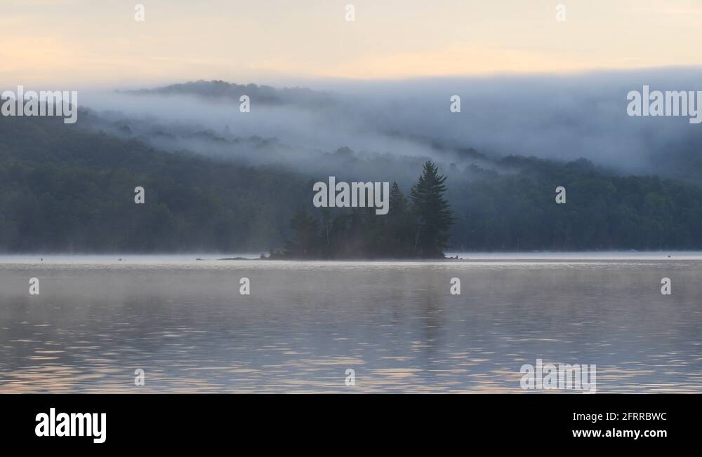 Misty island canada Stock Videos & Footage HD and 4K Video Clips Alamy