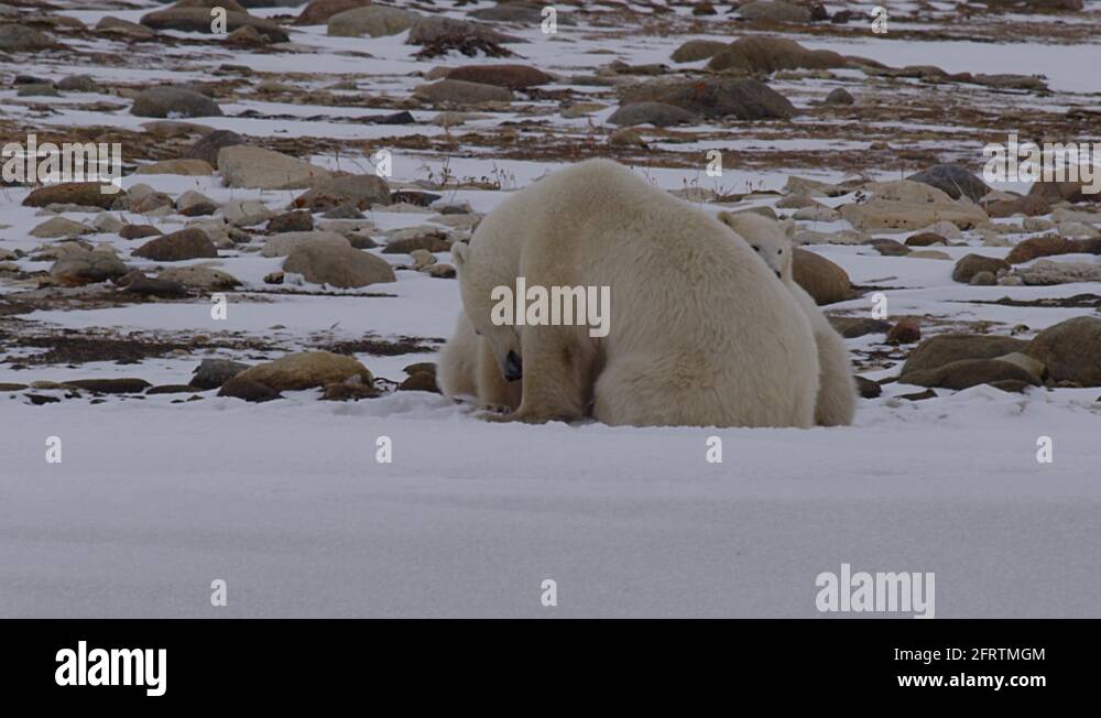 Twins rocks Stock Videos & Footage HD and 4K Video Clips Alamy