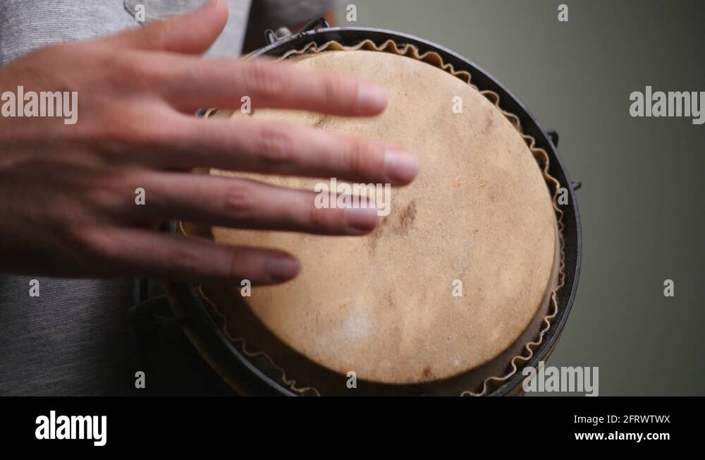 Bongos bongo Stock Videos & Footage - HD and 4K Video Clips - Alamy