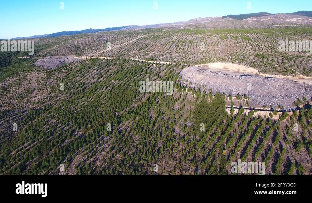 Growth cycle Stock Videos & Footage - HD and 4K Video Clips - Alamy