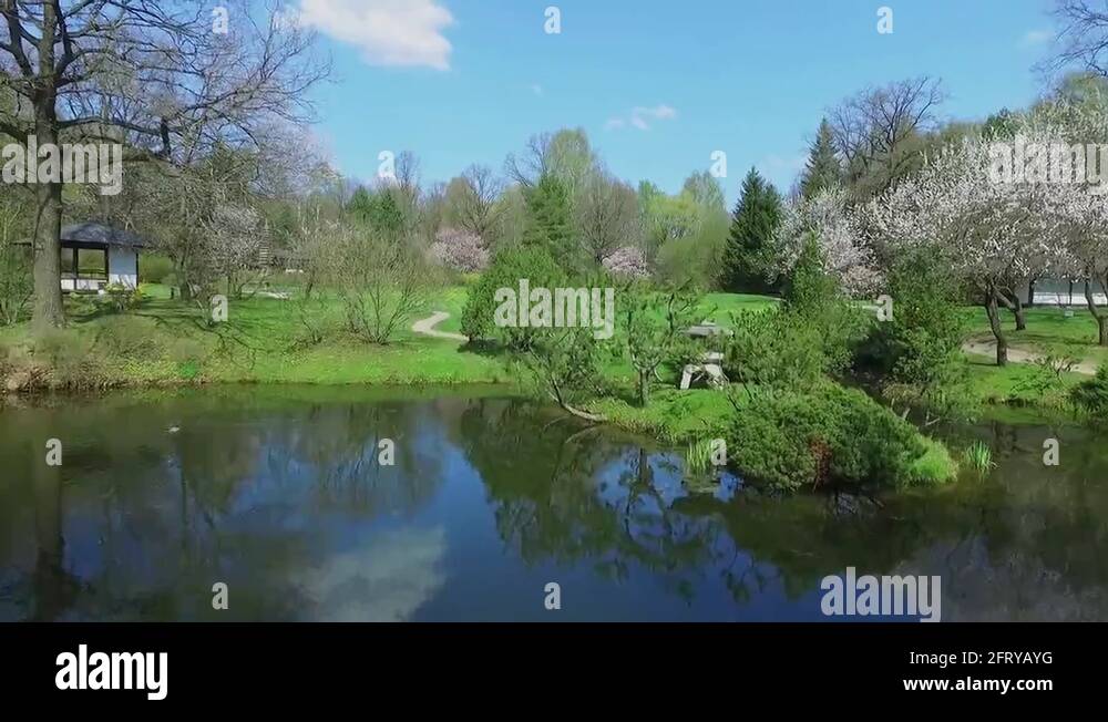 Plants of japan Stock Videos & Footage HD and 4K Video Clips Alamy