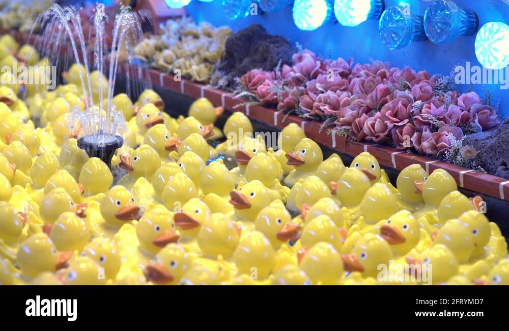 Rubber Ducks floating in carnival game 4k Stock Video Footage Alamy