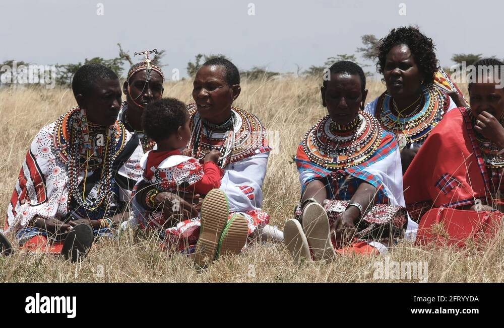 Koiyakiguidingschool Stock Videos & Footage HD and 4K Video Clips Alamy