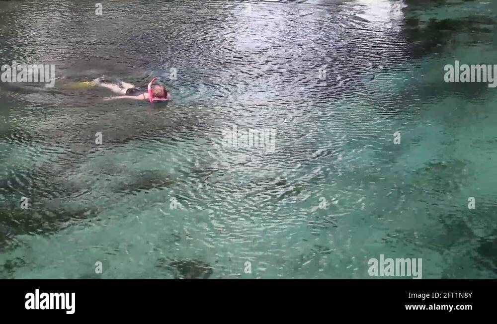 Ginnie springs float Stock Videos & Footage HD and 4K Video Clips Alamy