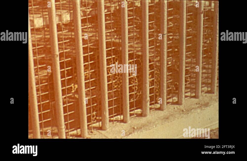 Caged animals Stock Videos & Footage HD and 4K Video Clips Alamy