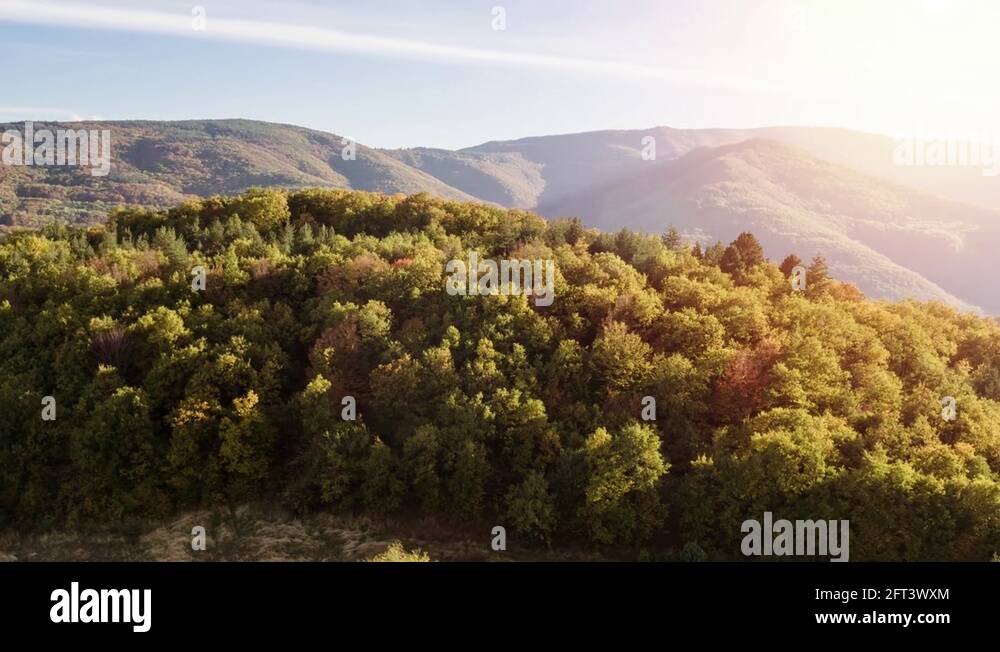 Tree trees landscape scenery Stock Videos & Footage - HD and 4K Video ...