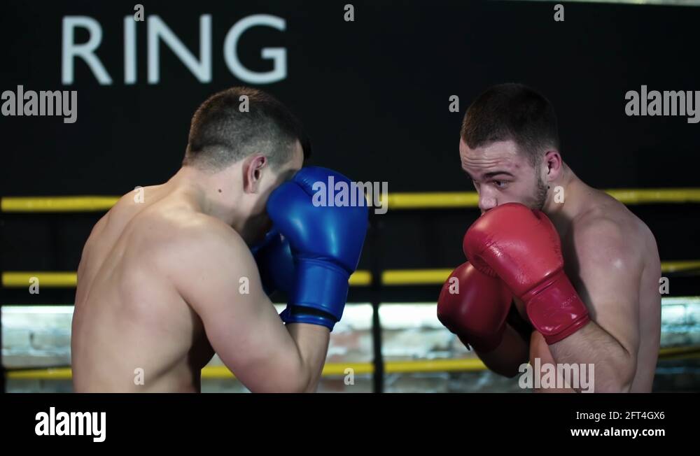 Boxing knockout punch close up Stock Videos & Footage HD and 4K Video