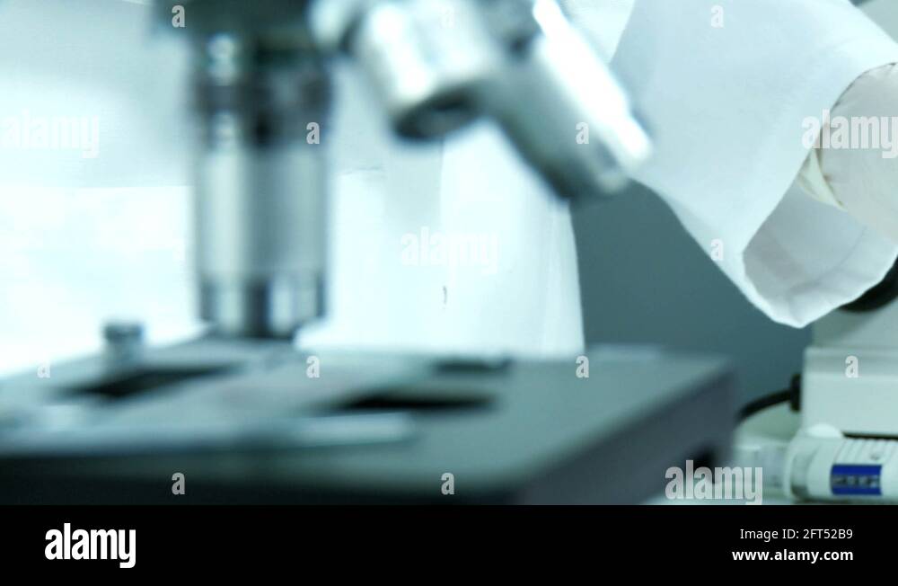 Medical bacteriology Stock Videos & Footage HD and 4K Video Clips Alamy