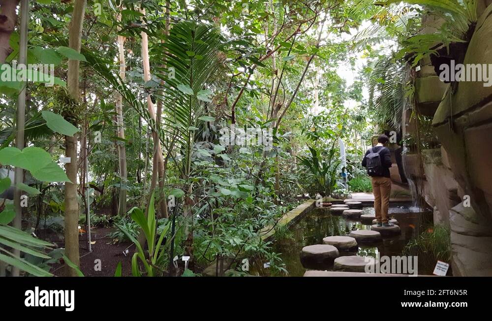 couple-walks-across-fish-pond-tropical-rainforest-berlin-botanical