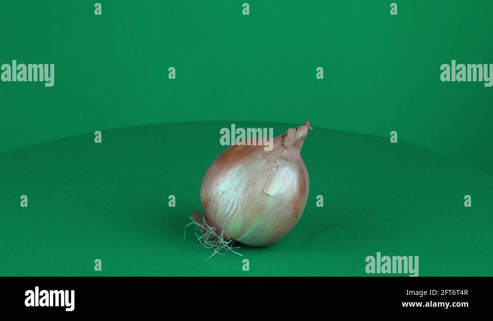 Onion Rotating in Green Screen Chroma Key Matte Stock Video Footage Alamy