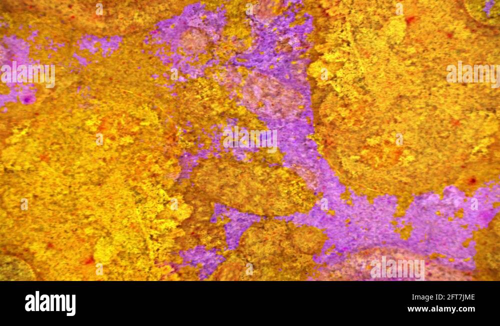 Microscopic View of Ink in Water Stock Video Footage - Alamy
