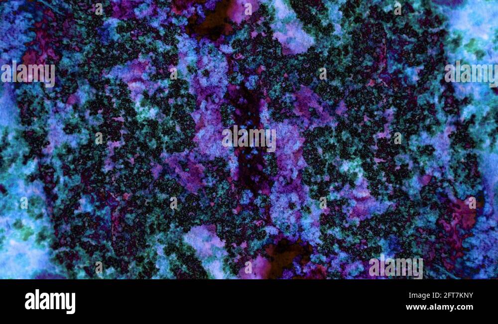Microscopic View of Ink in Water Stock Video Footage - Alamy