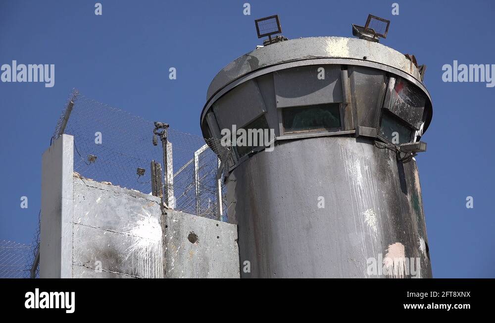 Palestine flag face paint Stock Videos & Footage - HD and 4K Video