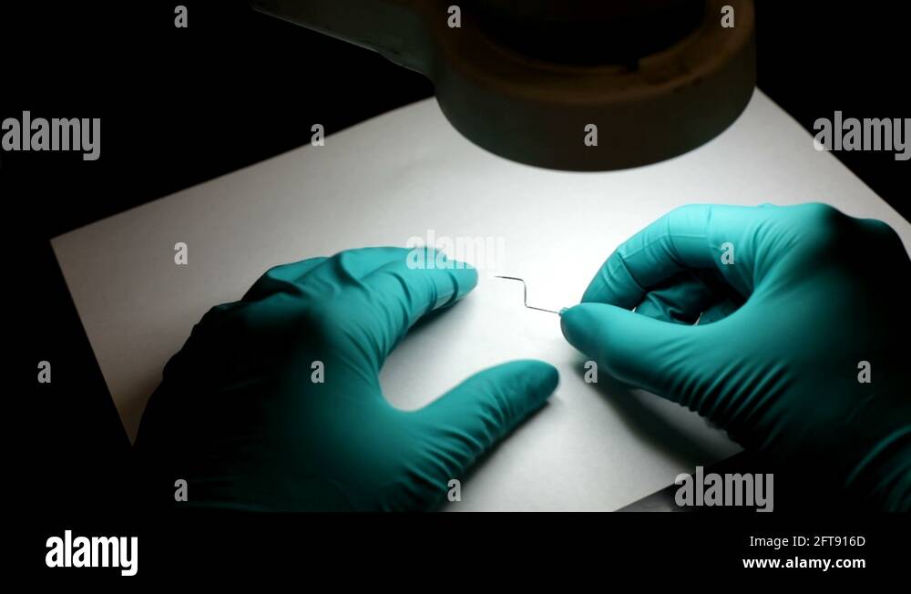 Rubber under microscope Stock Videos & Footage HD and 4K Video Clips