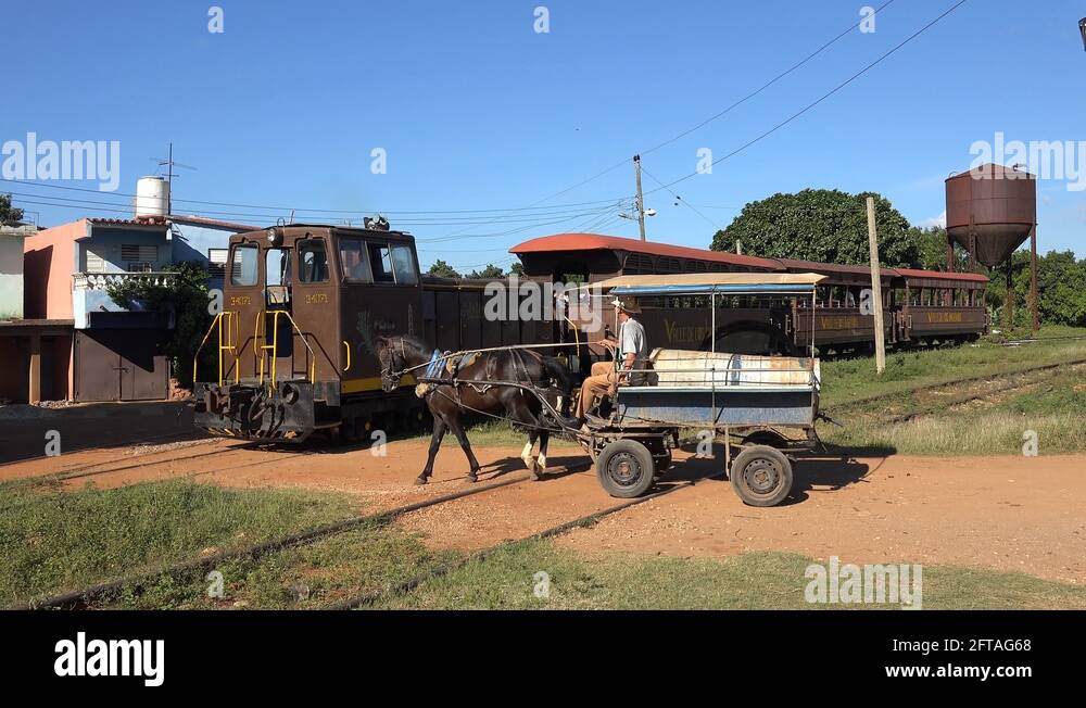 Watercarrier horsedrawn carriage at a railway crossing with the