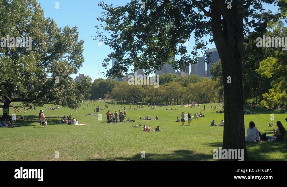 Picnic in central park Stock Videos & Footage HD and 4K Video Clips