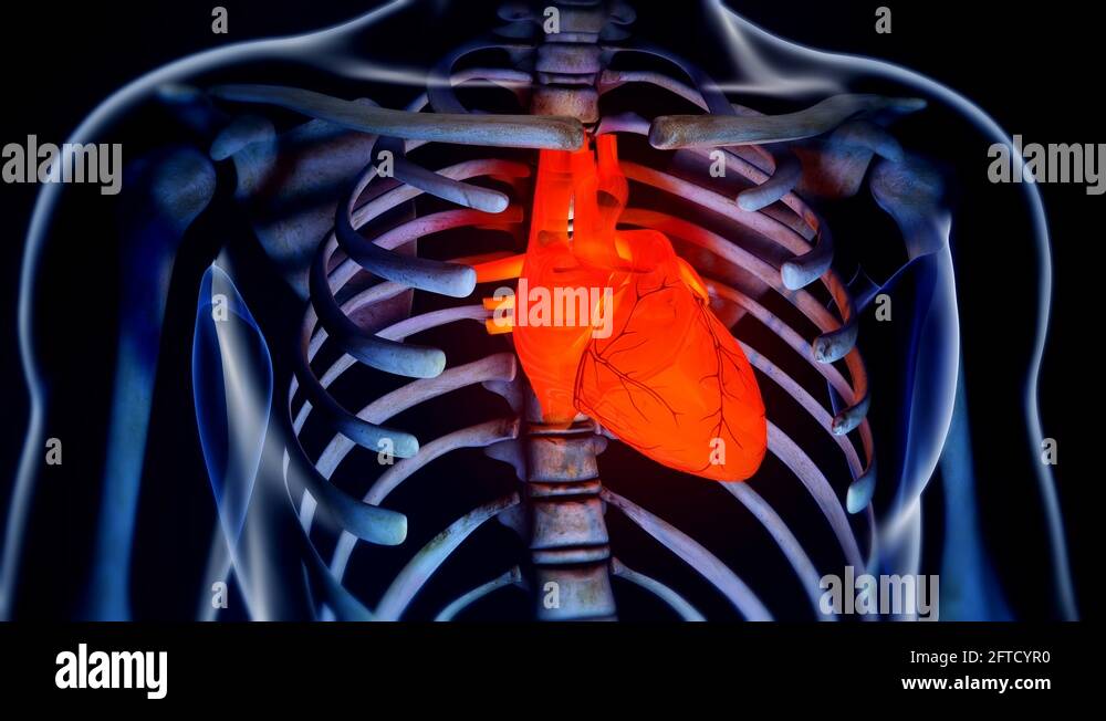 4 roentgen Stock Videos & Footage HD and 4K Video Clips Alamy