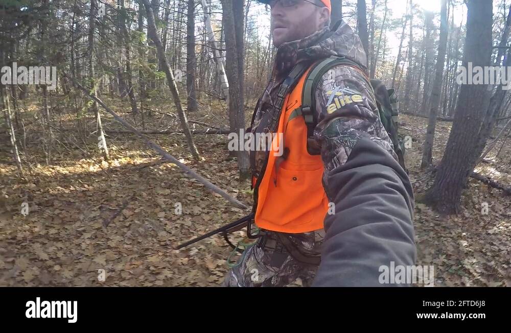 Filming hunt Stock Videos & Footage HD and 4K Video Clips Alamy