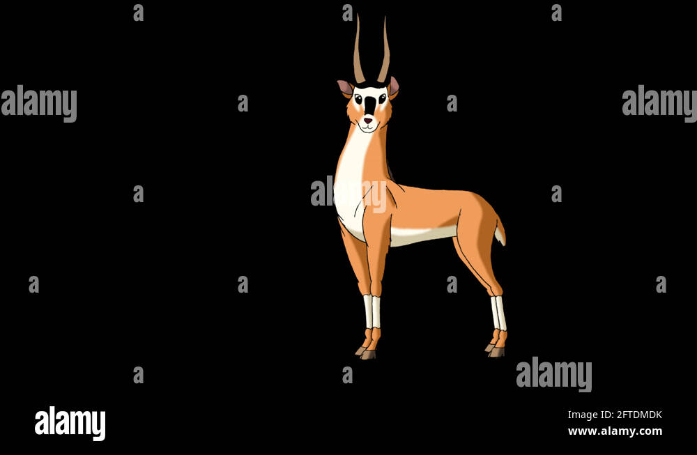 Cartoon gazelle Stock Videos & Footage - HD and 4K Video Clips - Alamy