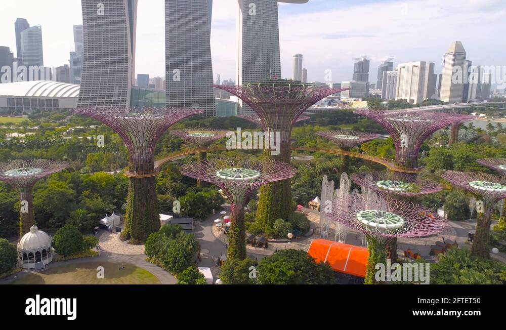 Singapore supertrees Stock Videos & Footage HD and 4K Video Clips Alamy
