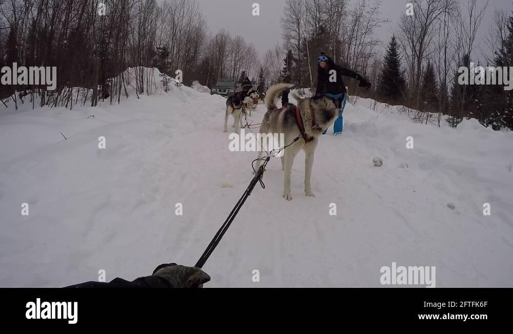 Gangline Stock Videos & Footage HD and 4K Video Clips Alamy