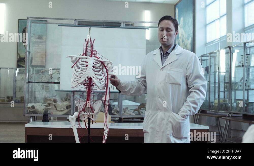 Professor anatomy Stock Videos & Footage - HD and 4K Video Clips - Alamy