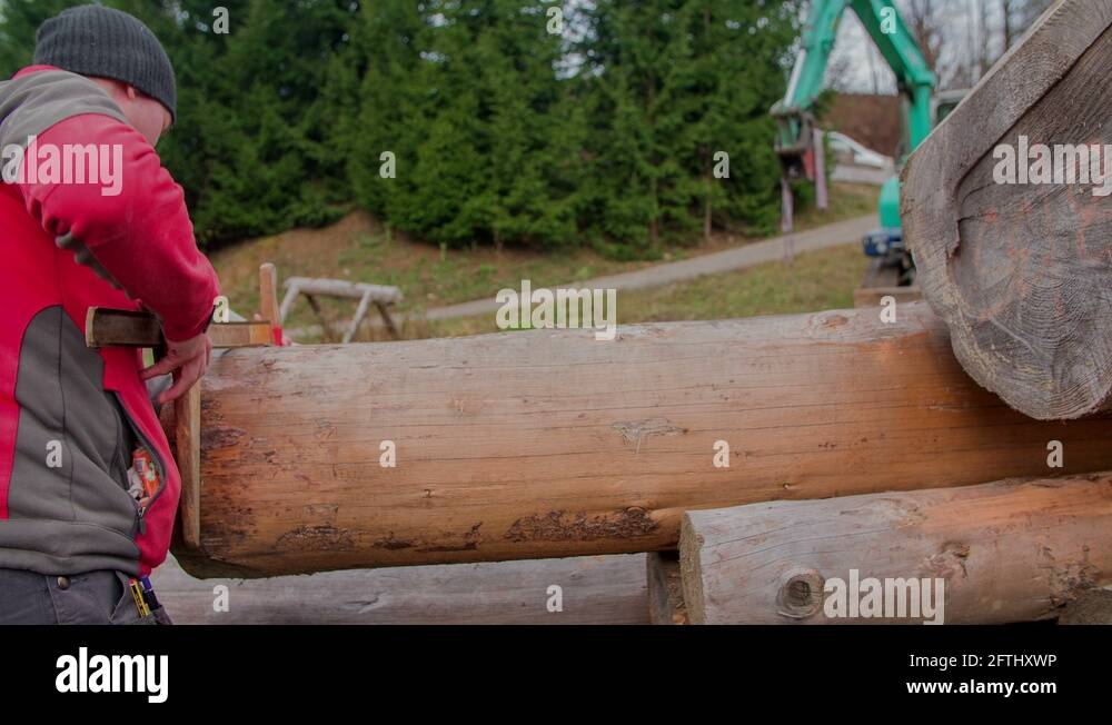 Measuring the width of the tree trunk Stock Video Footage Alamy