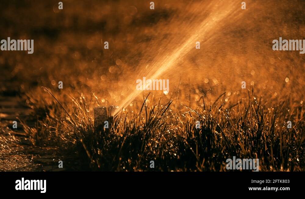 Underground sprinklers Stock Videos & Footage HD and 4K Video Clips