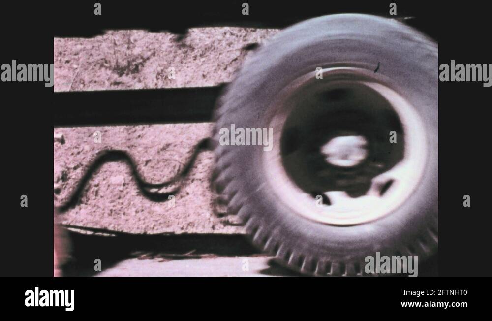 Tree falling Stock Videos & Footage HD and 4K Video Clips Alamy