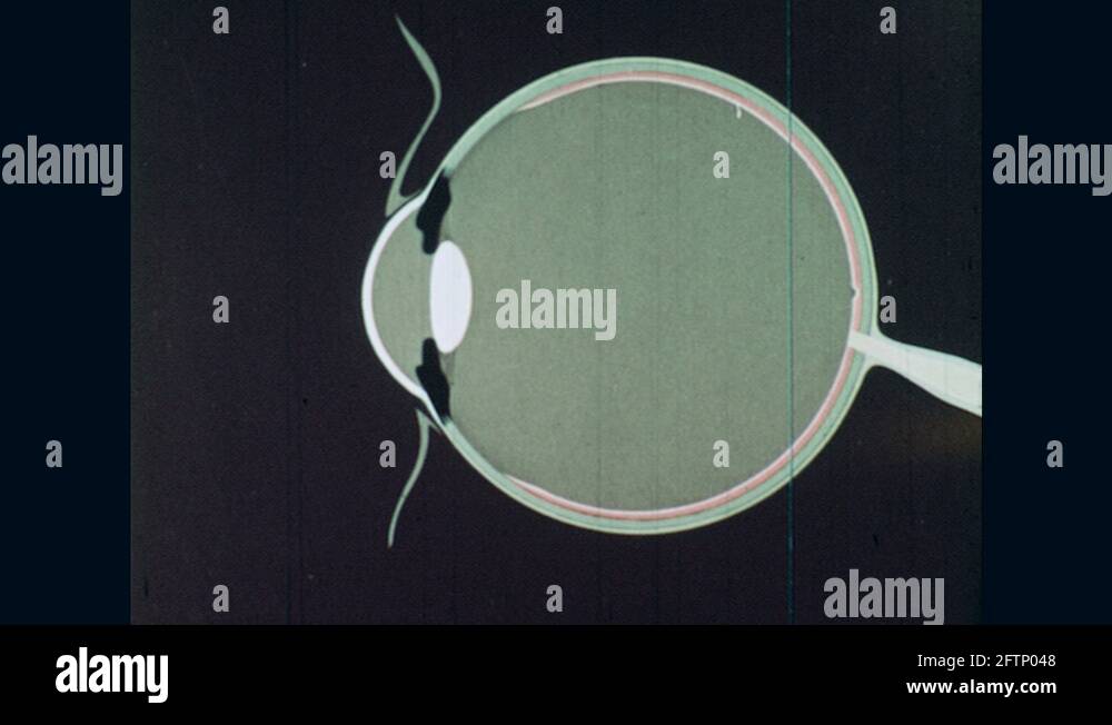 UNITED STATES: 1940s: Animation of light entering the human eye ...