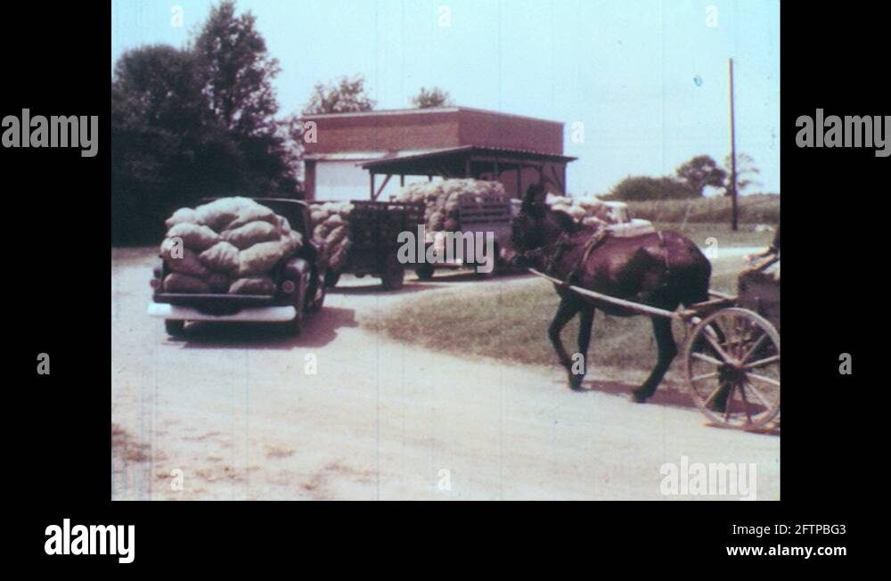 Vintage crop horse Stock Videos & Footage HD and 4K Video Clips Alamy