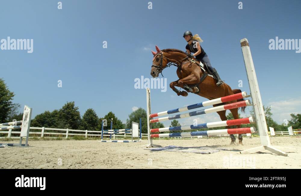 Ride jumping fence arena horse Stock Videos & Footage - HD and 4K Video ...