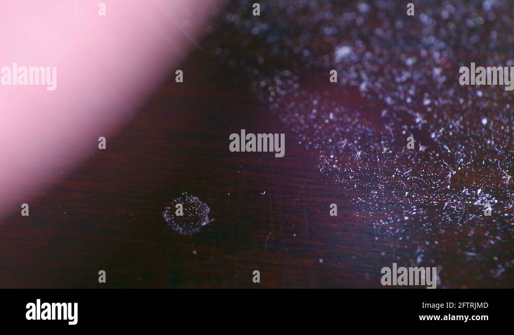 Wiping dust off furniture Stock Videos & Footage HD and 4K Video