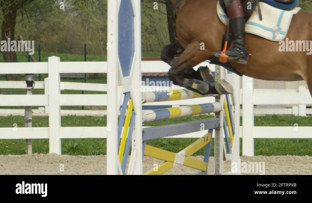 Horse jumping over fences Stock Videos & Footage HD and 4K Video