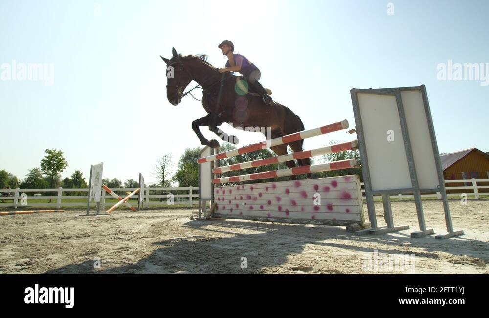Horse jumping fence Stock Videos & Footage HD and 4K Video Clips Alamy