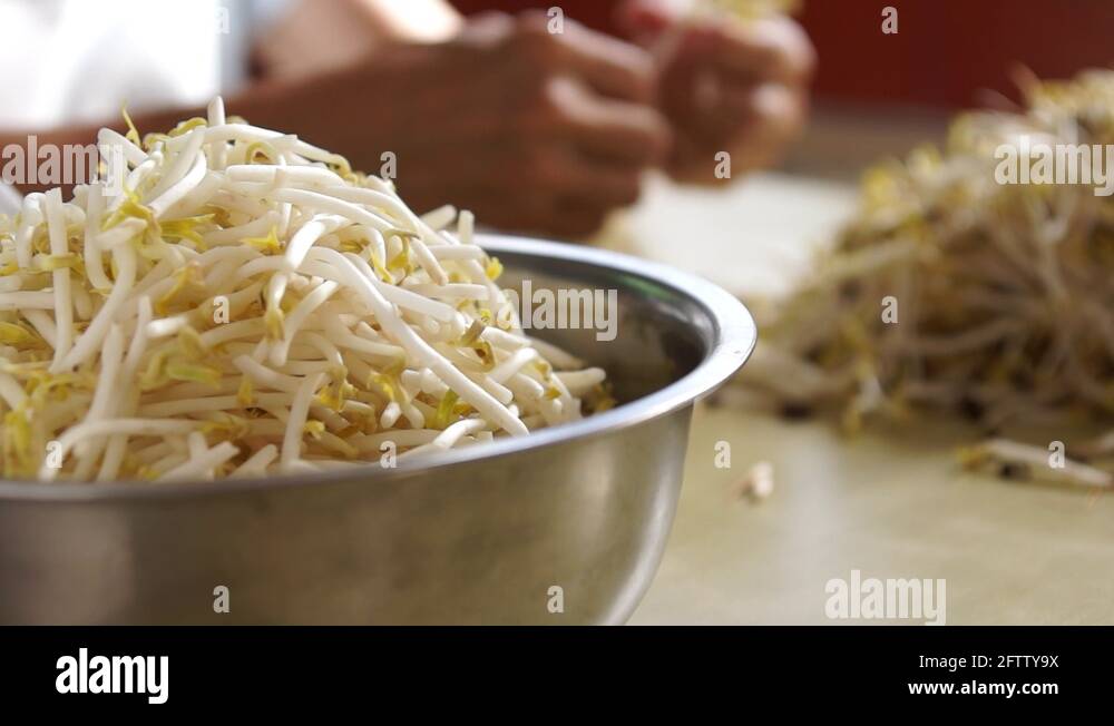 Bean picker Stock Videos & Footage HD and 4K Video Clips Alamy