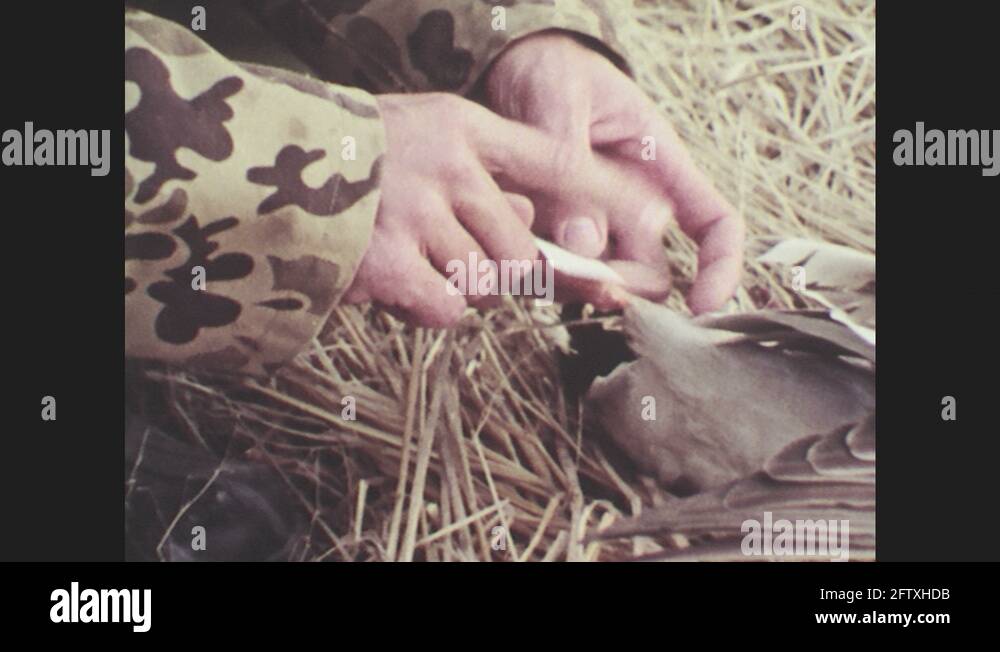 Identifying the dead Stock Videos & Footage - HD and 4K Video Clips - Alamy