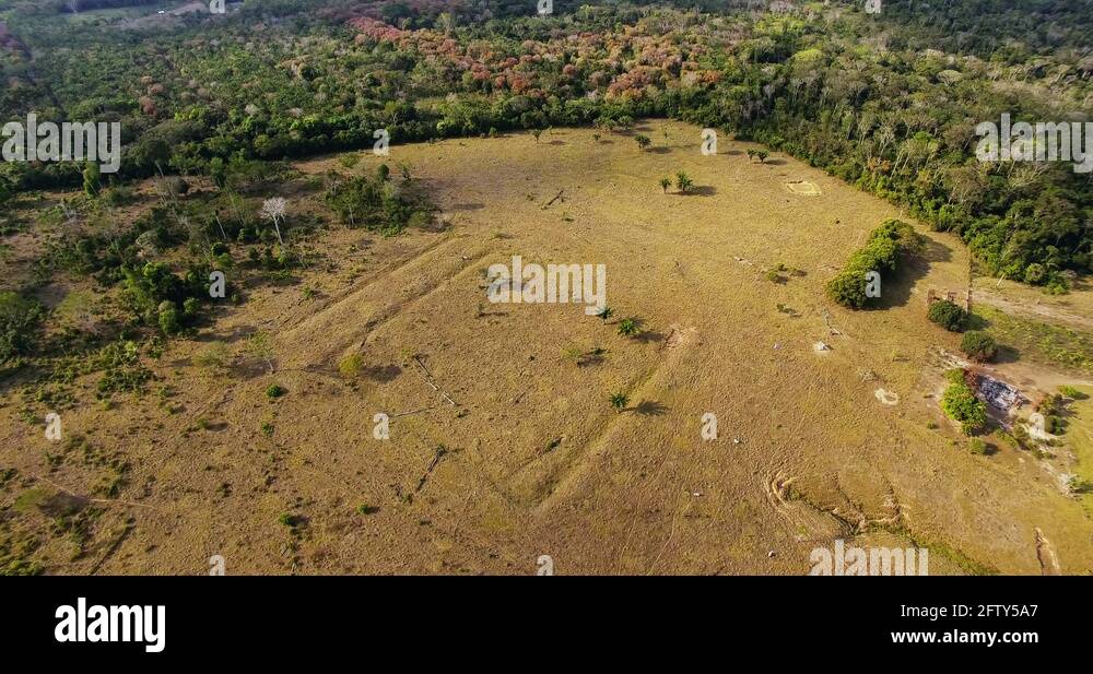 Flying over two square geoglyphs in the Amazon rainforest Stock Video