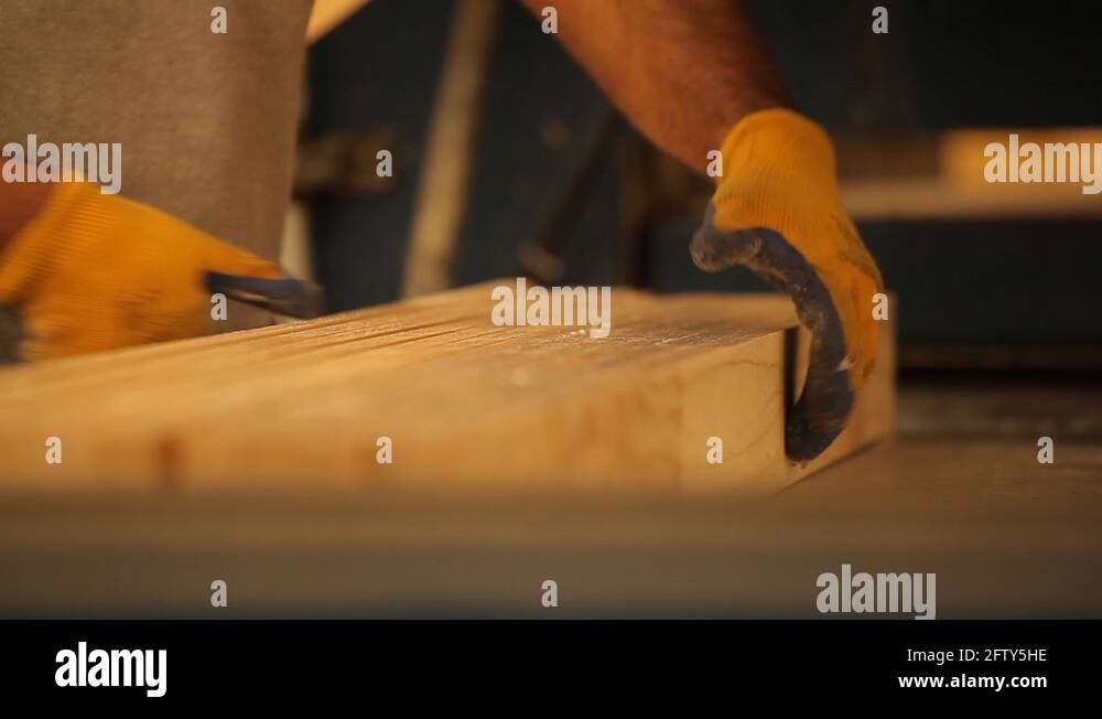 Source of timber Stock Videos & Footage - HD and 4K Video Clips - Alamy