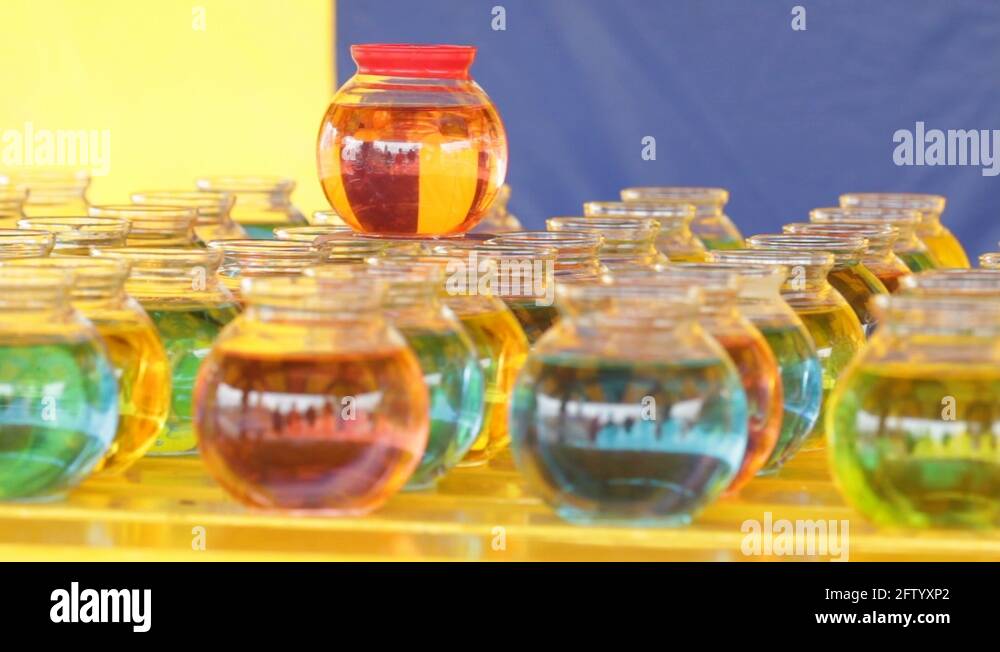 Fish carnival Stock Videos & Footage HD and 4K Video Clips Alamy