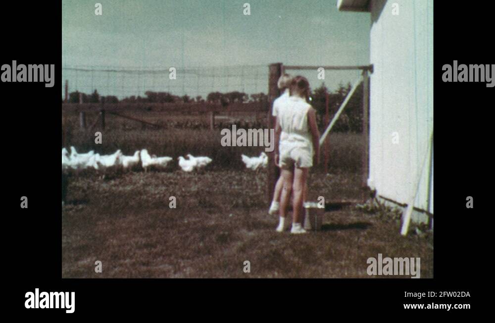 1960s girls carry bucket of eggs from chicken coop. woman and girls