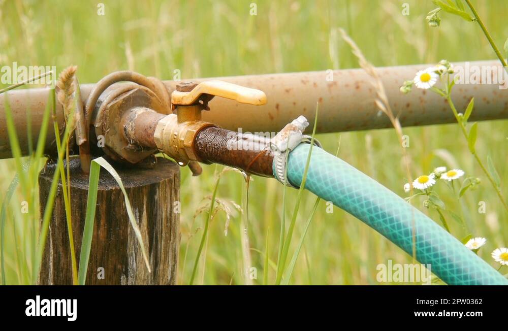 Water leakage Stock Videos & Footage HD and 4K Video Clips Alamy