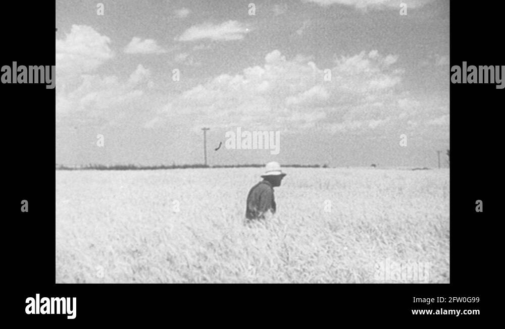 Field machine Stock Videos & Footage HD and 4K Video Clips Alamy