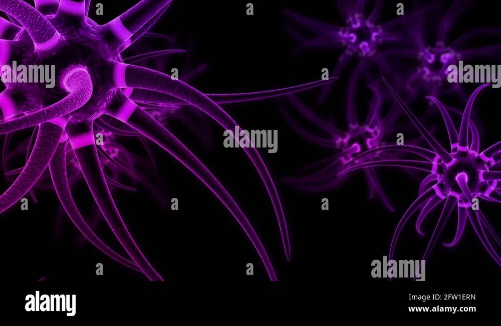 Nerve impulse transmission Stock Videos & Footage Biology Diagrams