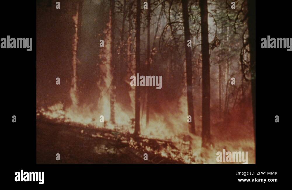 Firefighting history Stock Videos & Footage HD and 4K Video Clips Alamy