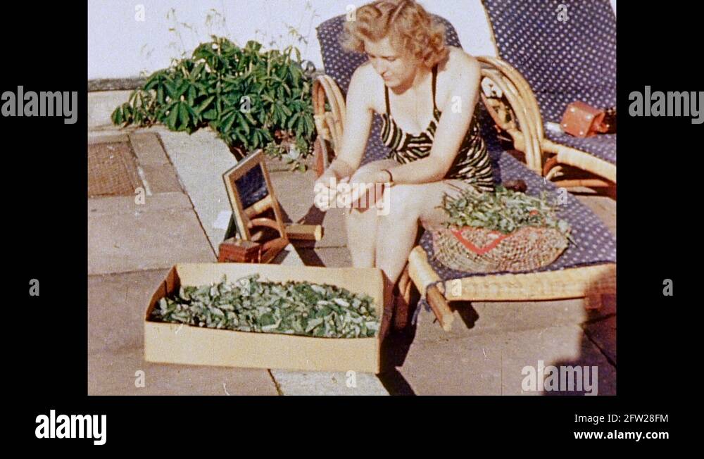 Gerda bormann Stock Videos & Footage - HD and 4K Video Clips - Alamy